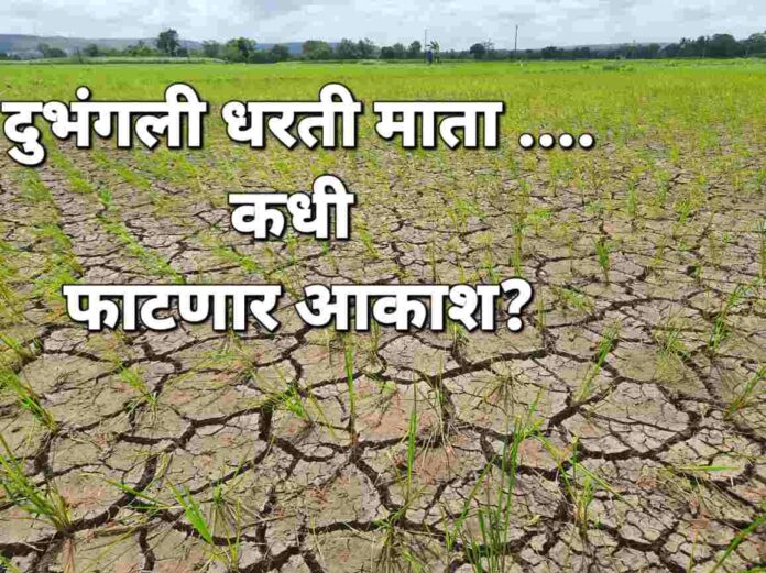 Rain shortage Rain shortage