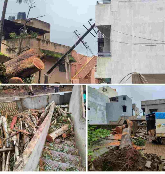 Tree falls images damaged