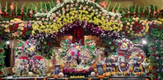 जन्माष्टमी उत्सवास धुमधडाक्यात प्रारंभ Janmashtmi