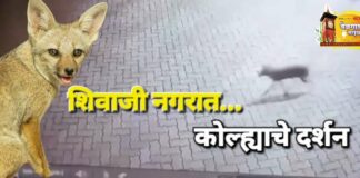 ‘आधी शास्त्री नगर आता शिवाजी नगर’ Fox