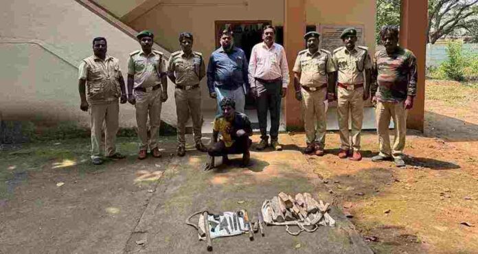 Tiger hunt Tiger hunt