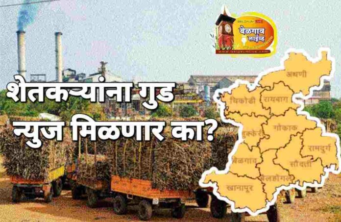 Farmers shugar cane Farmers shugar cane