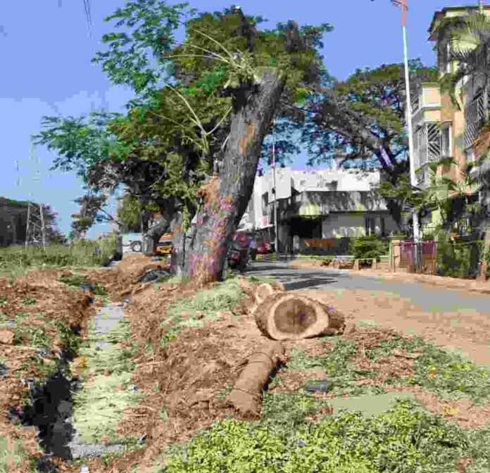 Screenshot_20240116_134902_WhatsApp