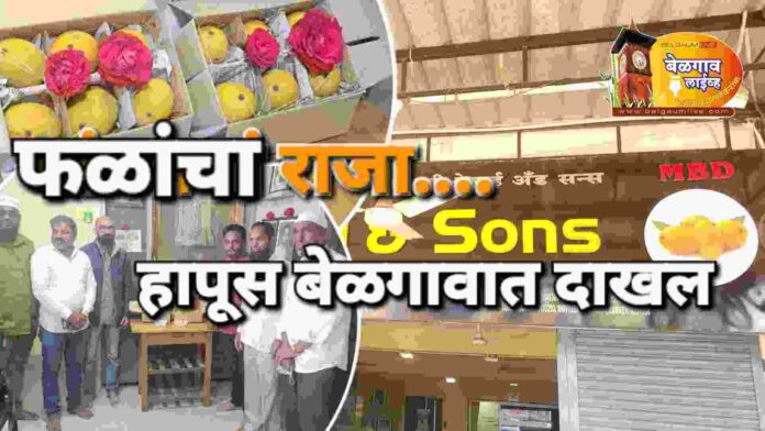 Fruit mango Fruit mango