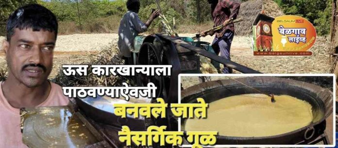 Kallehol Kallehol gul