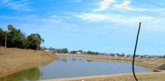 ‘प्यास’ने केले मच्छे तलावाचे यशस्वी पुनरुज्जीवन Machhe lake