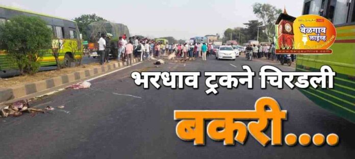 Highway truck Highway truck