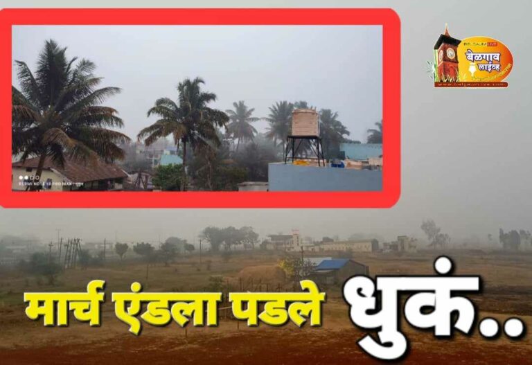 शहर उपनगरात दाट धुक्याची सुखद चादर