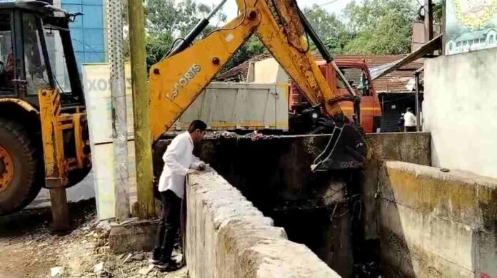 Nala cleaning Nala cleaning