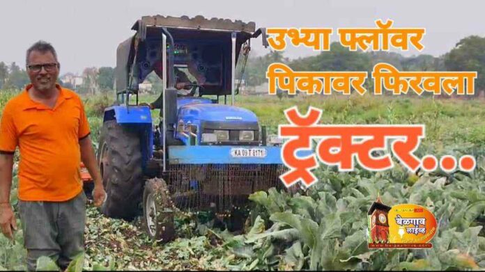 Farmer crop Farmer crop