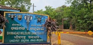 हेम्माडगा निसर्ग कॅम्पचे संचालन, देखभाल आता वनखात्याकडे Hemmdga