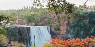 अवकाळी पावसामुळे गोकाकचा धबधबा प्रवाहित Gokak falls