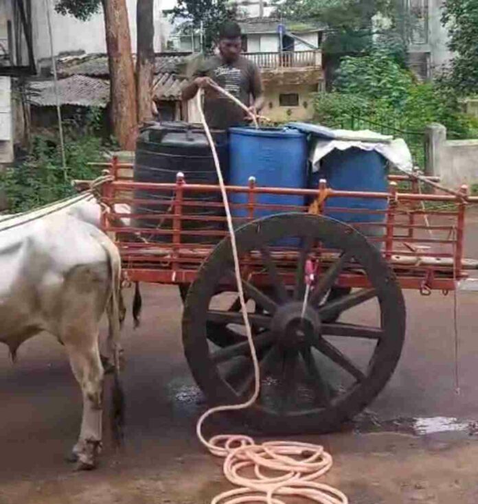 Rayat galli Rayat Galli