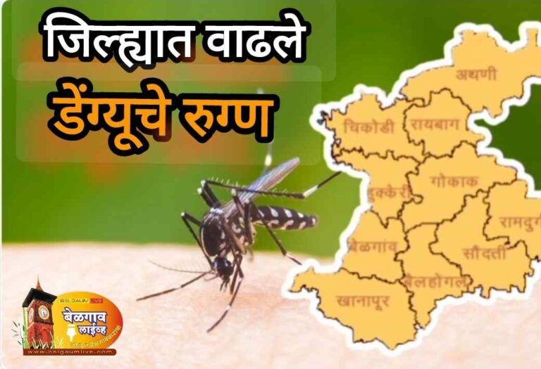 डेंग्यूची डोकेदुखी वाढली! सतर्कतेचा इशारा!