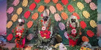 शहर परिसरात भक्तीभावाने साजरी होत आहे आषाढी एकादशी Ashadhi ekadashi