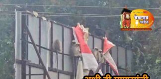 स्मार्ट सिटीची माकडचेष्टा पाहणाऱ्या माकडांच्या मनातील प्रश्न…! Monkeys disscussion