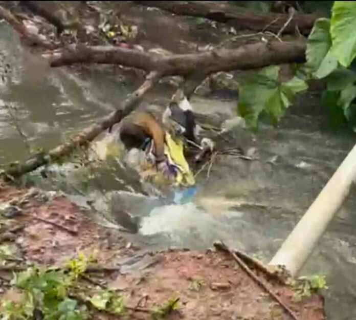 Dead body found Dead body found