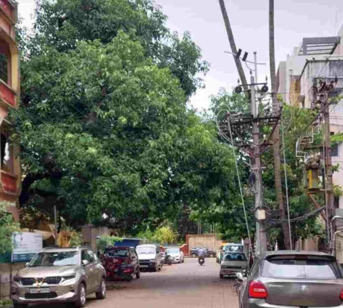 Tilakwadi area Tilakwadi area