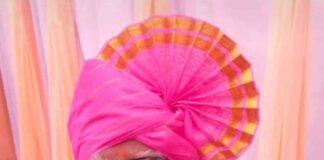 साहित्यिक महादेव मोरे यांचे निधन Mahadev more