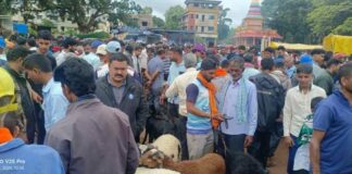 खानापूरच्या विशेष बकरी मंडईत काल कोट्यावधीची उलाढाल Goat market
