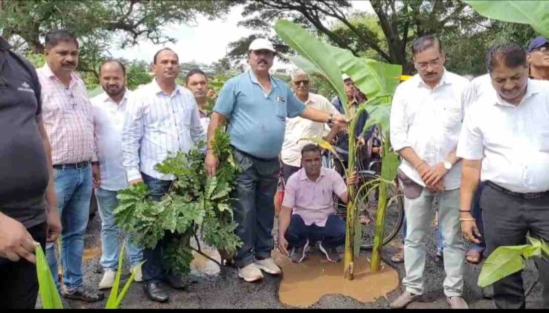 Tree plantation on road