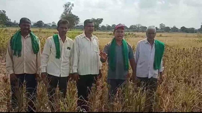 Farmers on attacking mode Farmers on attacking mode