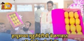 आंबाप्रेमींना खुशखबर… हापूस झाला बेळगावात दाखल Mango