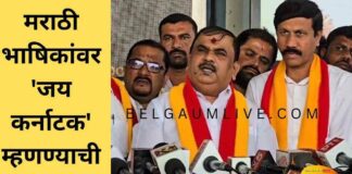 शिवसेना, समितीचे कार्यकर्ते पाकिस्तानी दहशतवाद्यांसारखे -नारायण गौडा Krv gowda