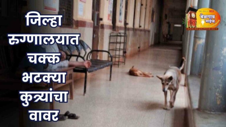 सिव्हिल’मध्ये भटक्या कुत्र्यांचा वाढता वावर