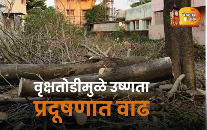 Messenger_creation_BBC386FE-EE2D-4C24-8F45-69551AF0F1DF