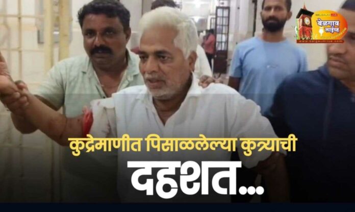 Dog attack Dog attack