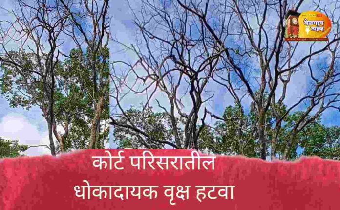 Messenger_creation_AD894098-E722-4DA0-A63E-0B9447B9021B (1)