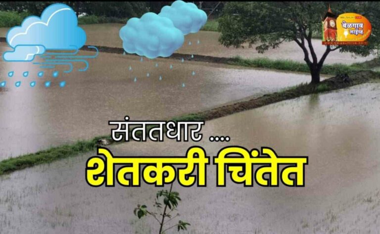 पावसाची संततधार : शेतकऱ्यांच्या चिंतेत वाढ