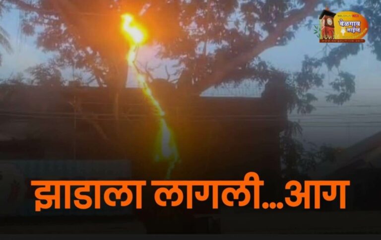 सदाशिवनगर येथे हायटेन्शन वायरवर फांदी पडून आग