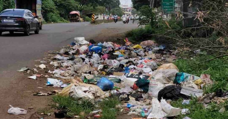 रस्त्याशेजारी साचलेल्या ‘या’ कचऱ्याची उचल करण्याची मागणी
