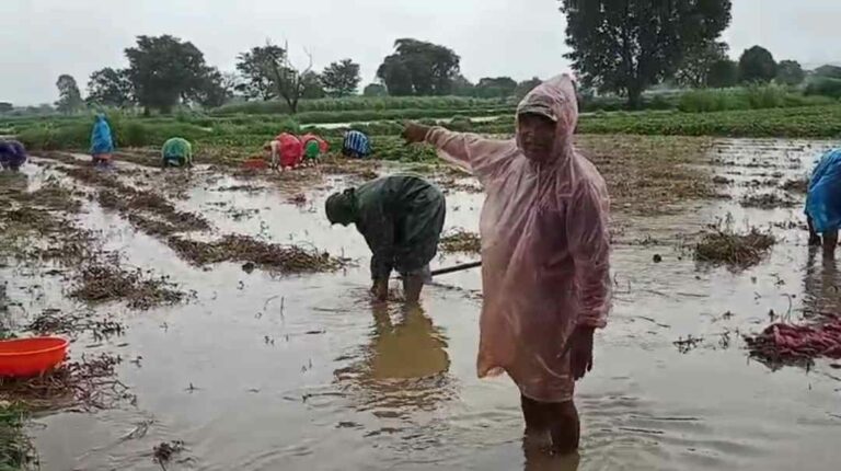 बळ्ळारी नालाच नव्हे तर बायपासमुळेही शेतकरी संकटात