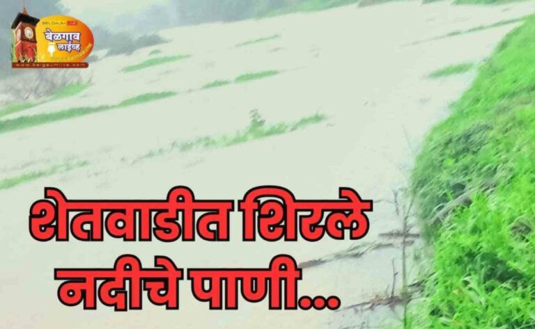 नदीचे पाणी शेतवाडीत रताळी गेली वाहून..