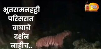 वाघाच्या अफवेला वनविभागाकडून पूर्णविराम