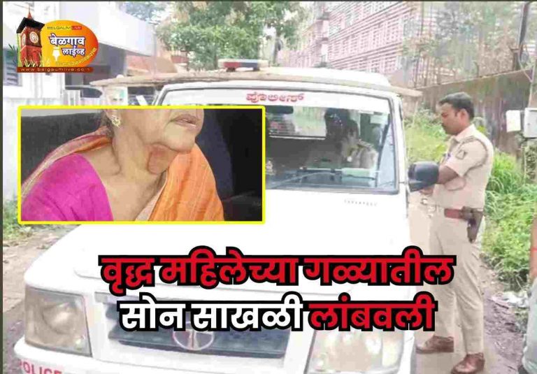 वृद्ध महिलेच्या गळ्यातील सोनसाखळी लांबवली: