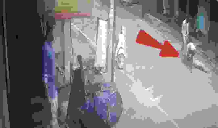 Screenshot_20250711_191005_Video Player