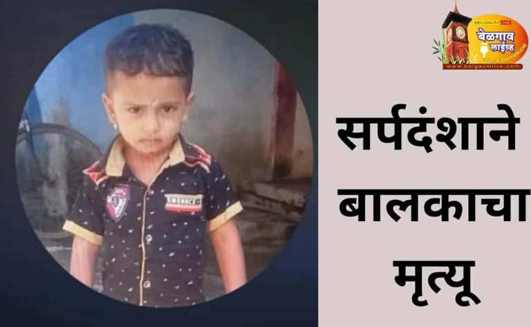 सर्पदंशाने सात वर्षीय वेदांत कुंभार याचा दुर्दैवी मृत्यू