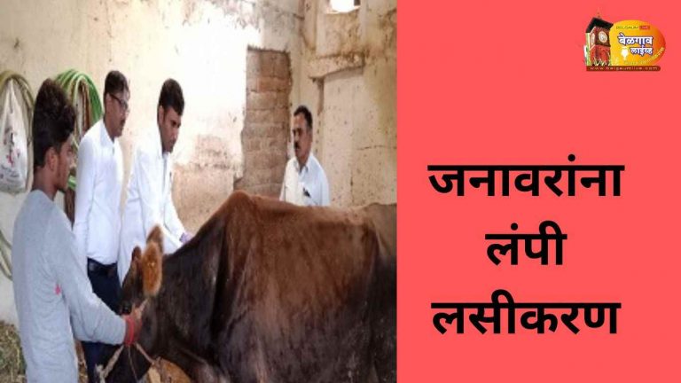 बेळगाव जिल्ह्यातील 5 लाख जनावरांचे लम्पी प्रतिबंधक लसीकरण