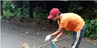 भटक्या कुत्र्यांच्या निर्बीजकरणासाठी हिरेबागेवाडी येथे तात्पुरत्या शेडचे बांधकाम