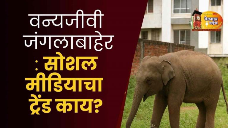 जंगलांचा ऱ्हास, वन्य प्राण्यांचा त्रास : वनखात्याच्या कर्तव्य दक्षतेवर प्रश्नचिन्ह