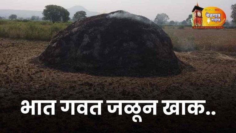 वळी घातलेले 40 पोती भात, गवत भस्मसात