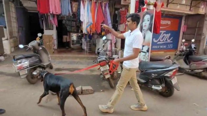 Screenshot_20251127_121357_WhatsApp