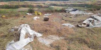 हत्तींचा विळखा सावरगाळी परिसरातील शेतकऱ्यांचे प्रचंड नुकसान