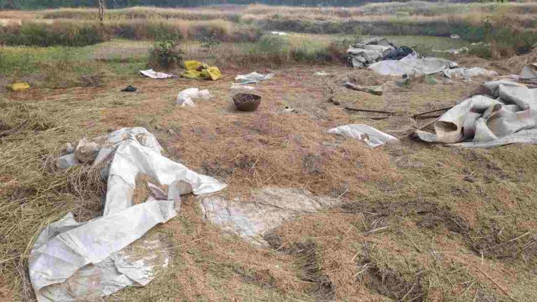 हत्तींचा विळखा सावरगाळी परिसरातील शेतकऱ्यांचे प्रचंड नुकसान