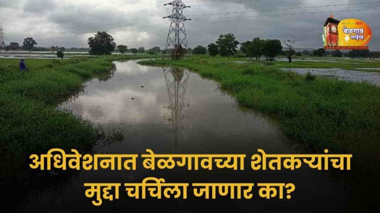 अधिवेशनात बळ्ळारीनाला विकासाची चर्चा होणार का?