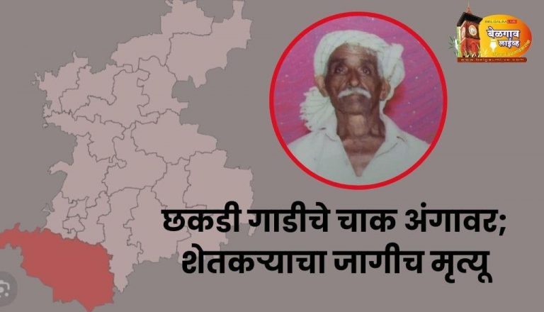 बैल उधळल्याने शेतकऱ्याचा मृत्यू;